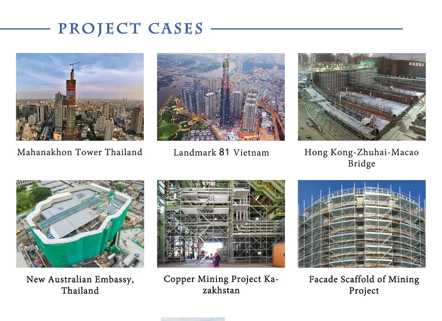 Scaffolding Application Project 4