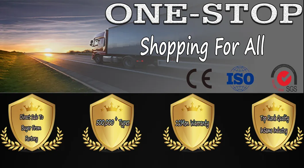 Company Profile