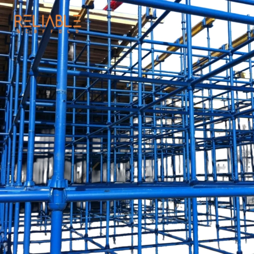 Reliable Industrial Grade Forged Q235 Cuplock Blade Top Bottom Cup System