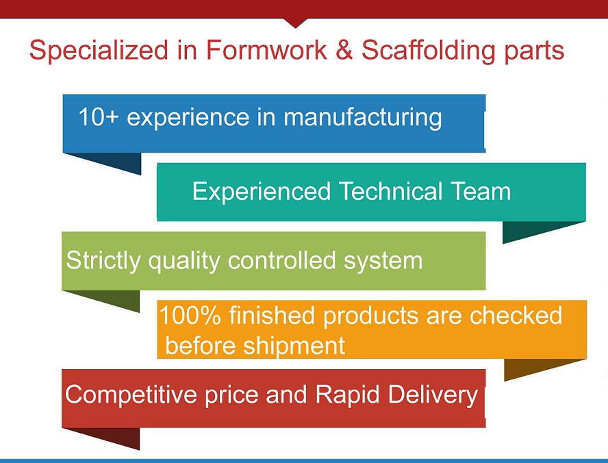 Our Advantages Infographic