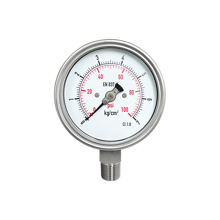 CE Certification 100 PSI Stainless Steel Bourdon Pressure Gauge – Explosion-Proof, Radial Mount | China Suppliers & Factory Manufacturers, Supplier