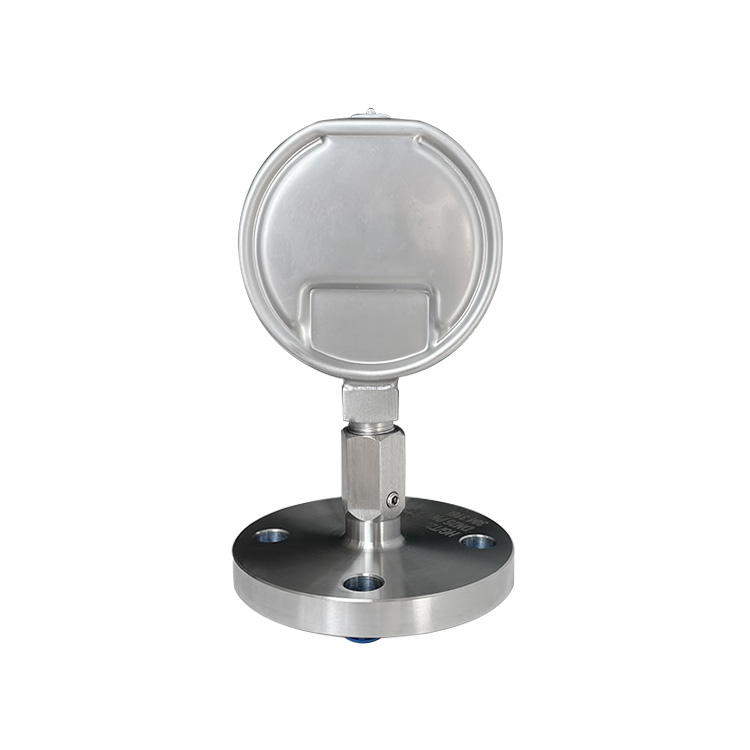 China 4″ Flanged Diaphragm Pressure Gauge – Stainless Steel, 0–1 MPa Range Supplier, Factories