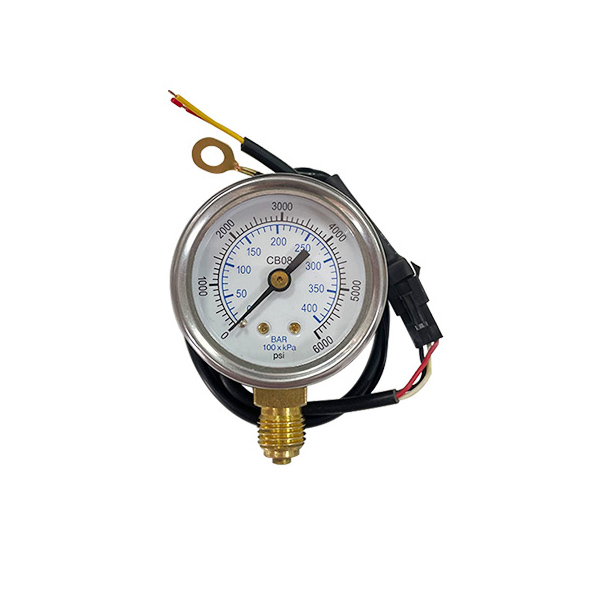 CE Certification CNG Pressure Gauge 5V 12V for Auto Cars - China Suppliers & Factory - Essential for Natural Gas Vehicles Manufacturers, Factory
