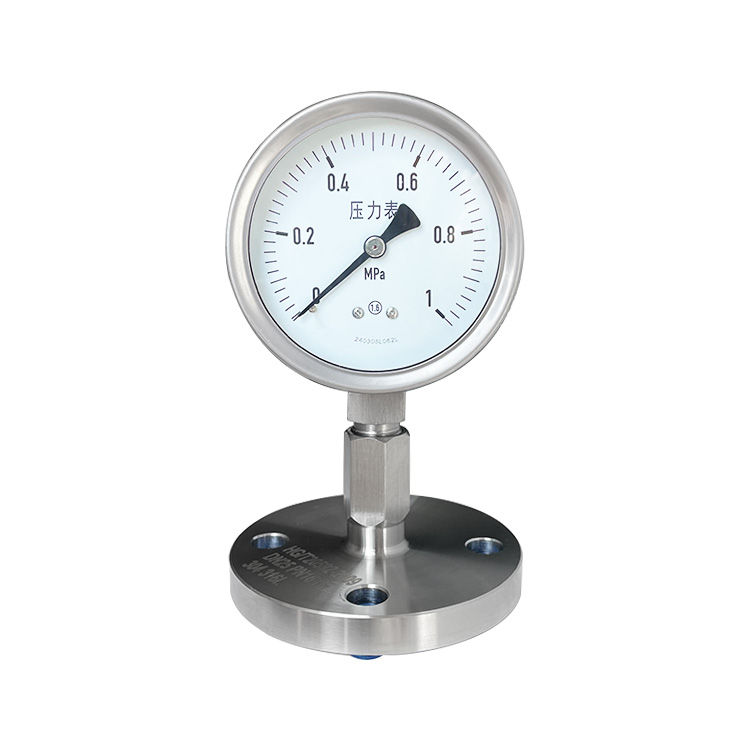 China 4″ Flanged Diaphragm Pressure Gauge – Stainless Steel, 0–1 MPa Range Supplier, Factories