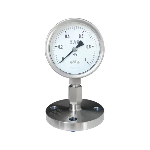 Flanged Diaphragm Pressure Gauge