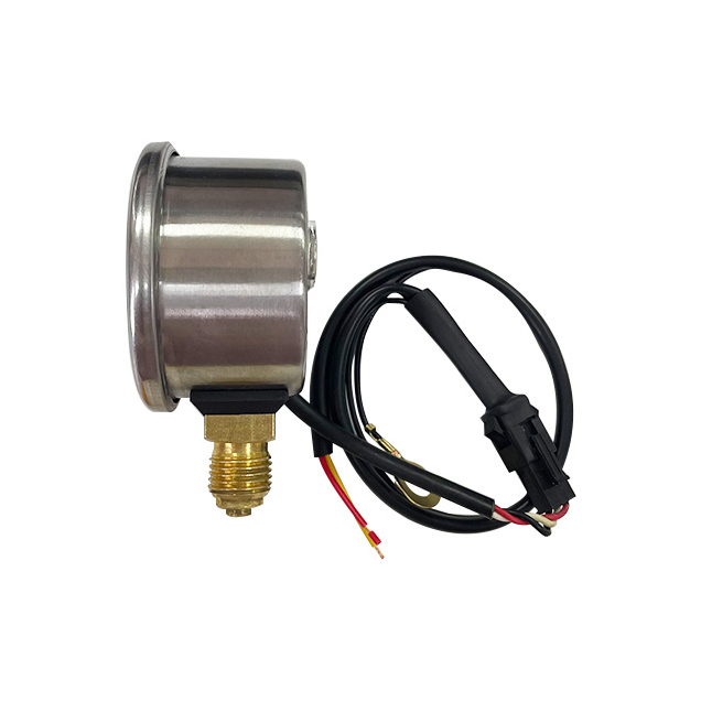 CE Certification CNG Pressure Gauge 5V 12V for Auto Cars - China Suppliers & Factory - Essential for Natural Gas Vehicles Manufacturers, Factory