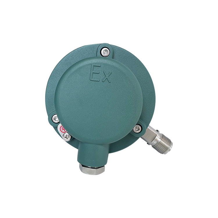China Explosion-Proof Electric Contact Pressure Gauge 0.6 MPa - China Suppliers & Factory Direct Offering Manufacturer, Factory