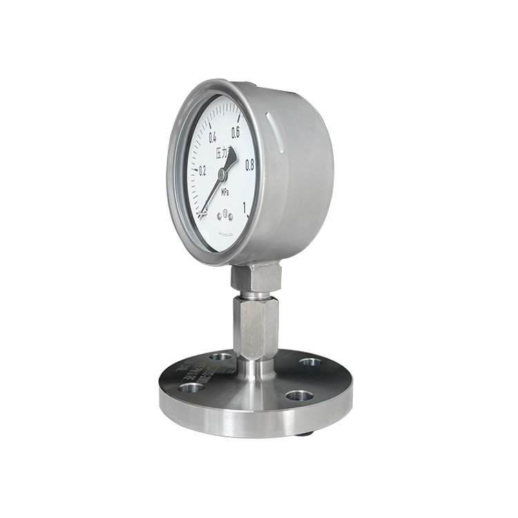 China 4″ Flanged Diaphragm Pressure Gauge – Stainless Steel, 0–1 MPa Range Supplier, Factories
