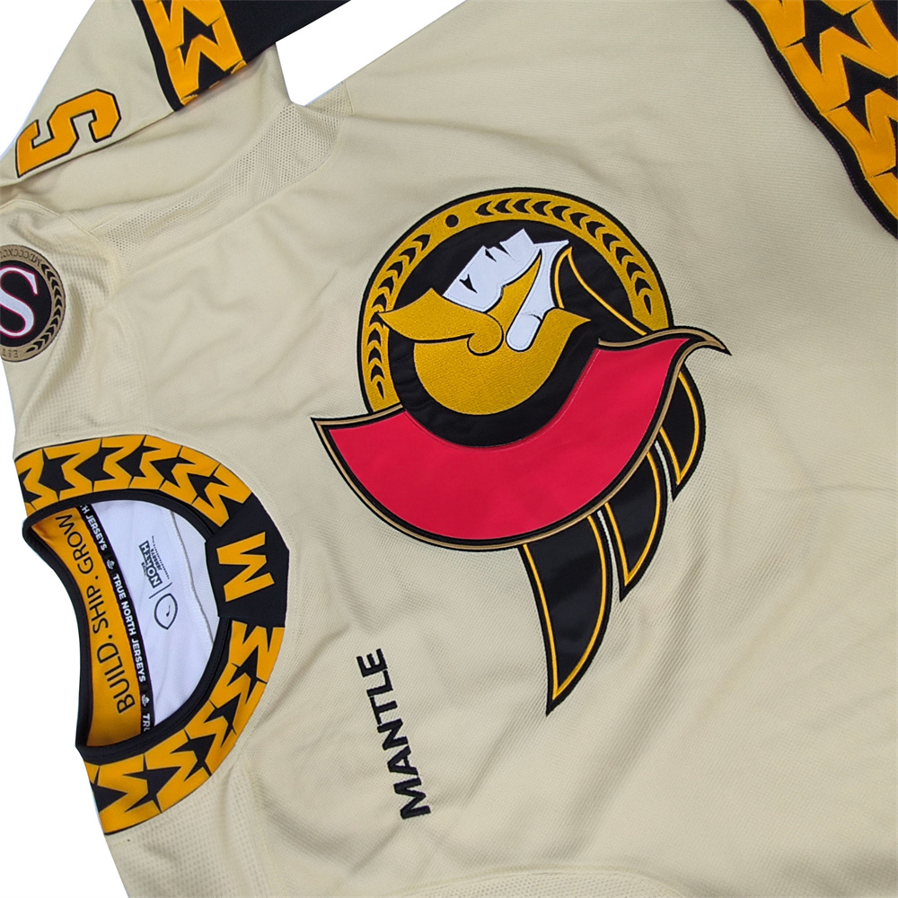 Ice Hockey Detail 1