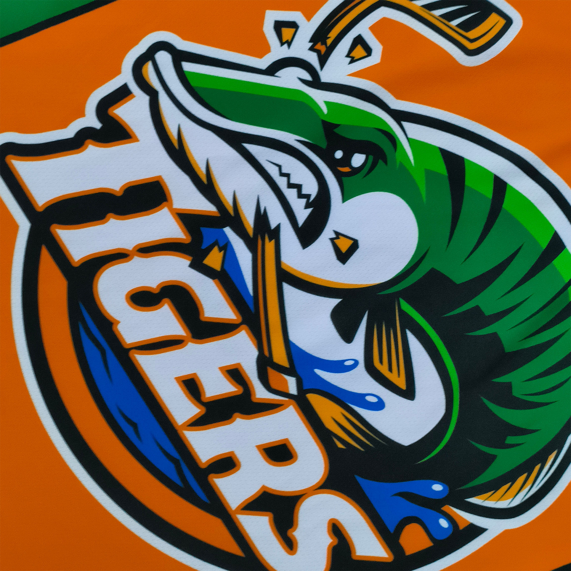 Color and Logo