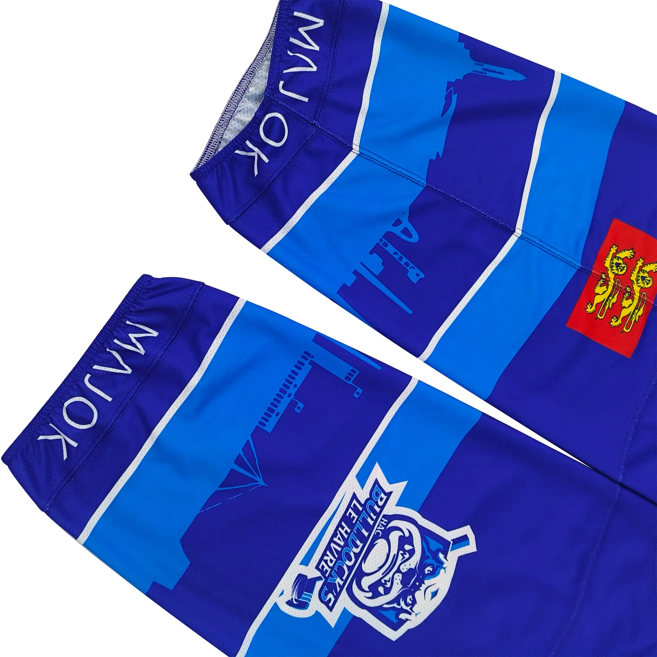 ODM HAC Le Havre Bulldogs Official Team Hockey Socks – Pro-Grade Performance Socks with City Skyline Graphic Manufacturer, Products