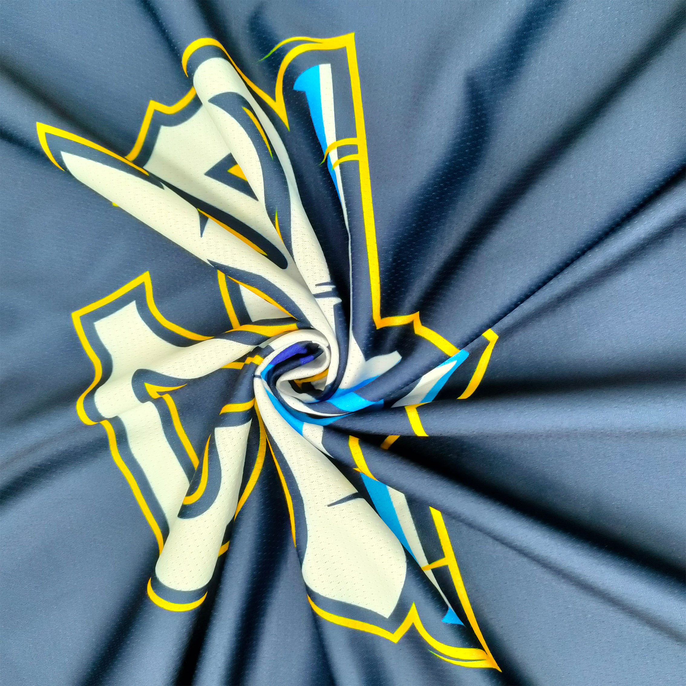 Hockey Jersey Display 2