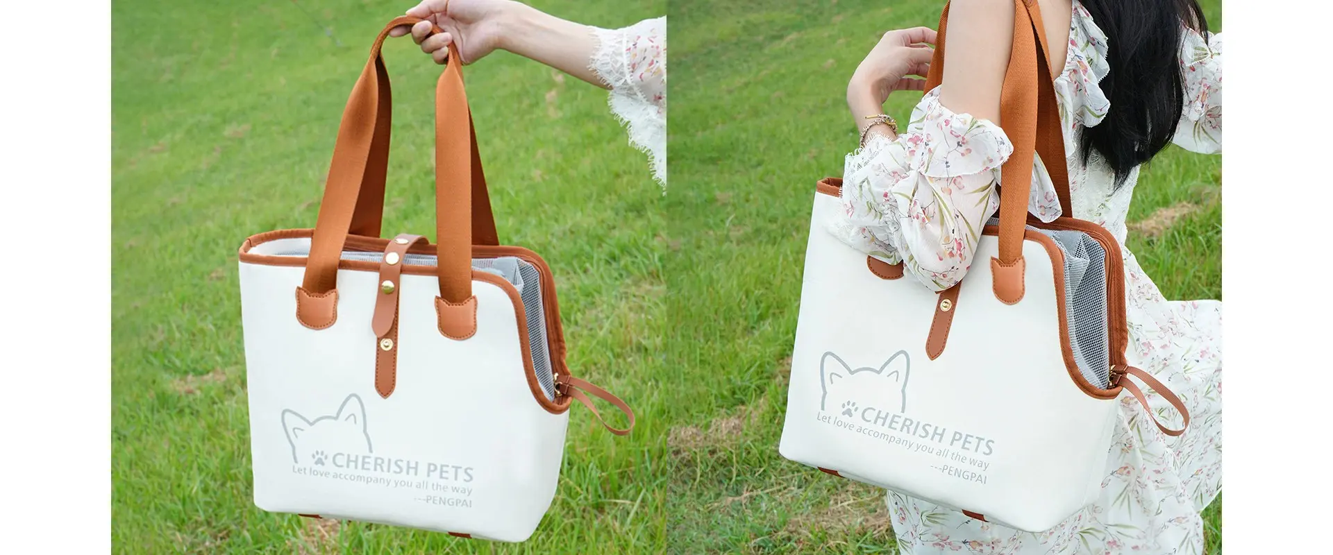 Fashionable Pet Bag Design