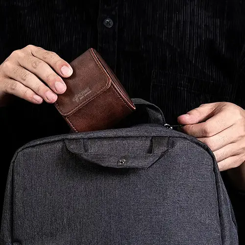 Ideal Travel Companion