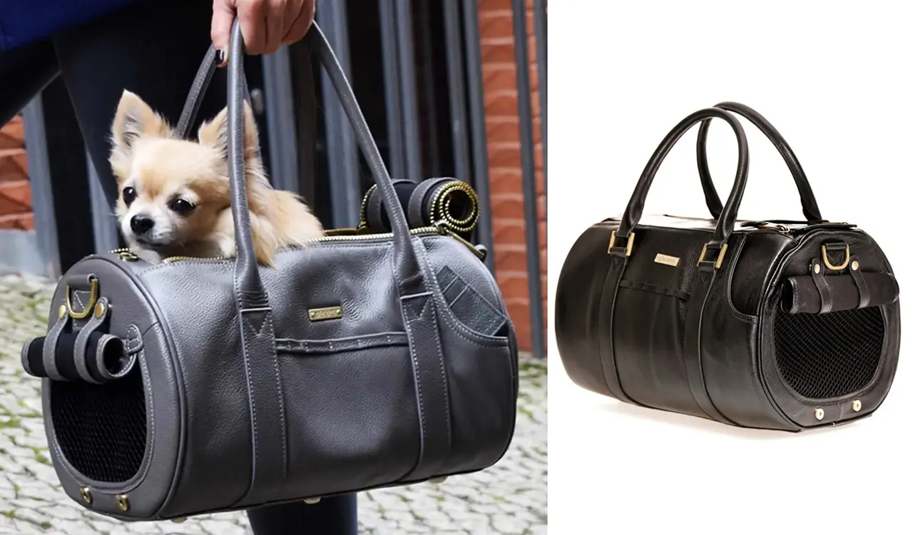 Pet Carrier Convenience Design