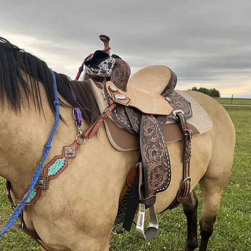Wholesale Genuine Leather Wool Felt Saddle Pad Equestrian Equipment Factories, Suppliers