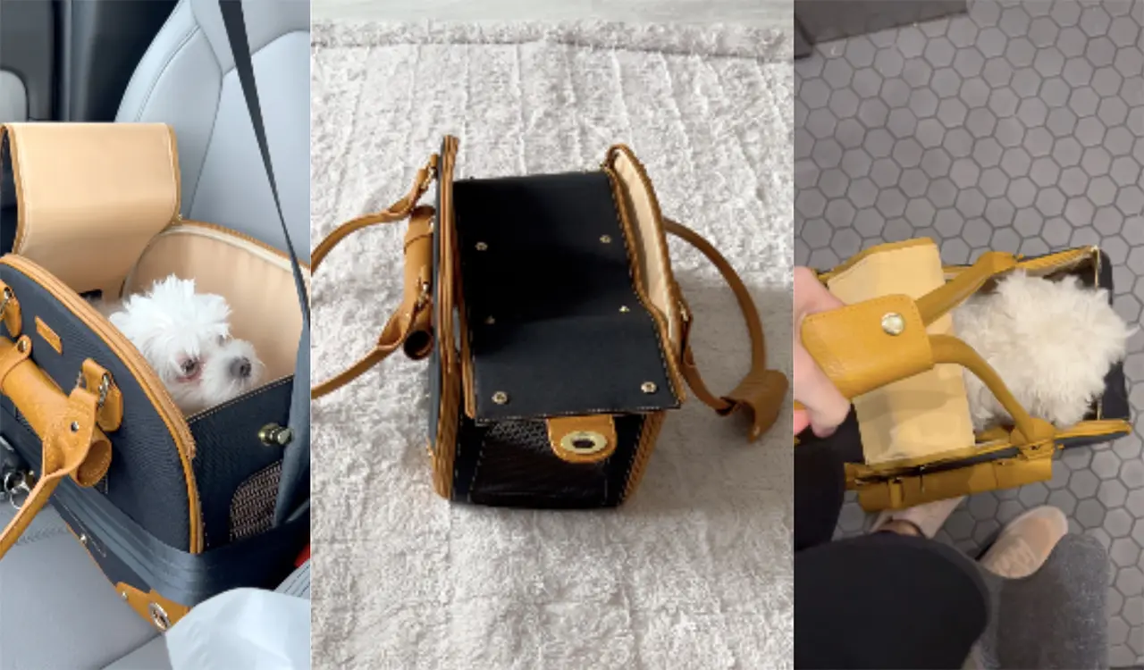 Comfortable Pet Bag Straps