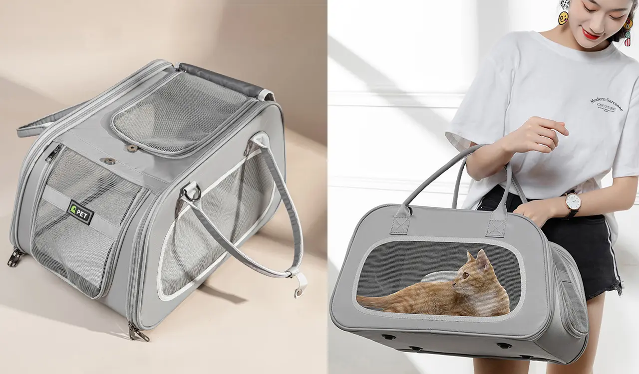 Pet Carrier Interior Space