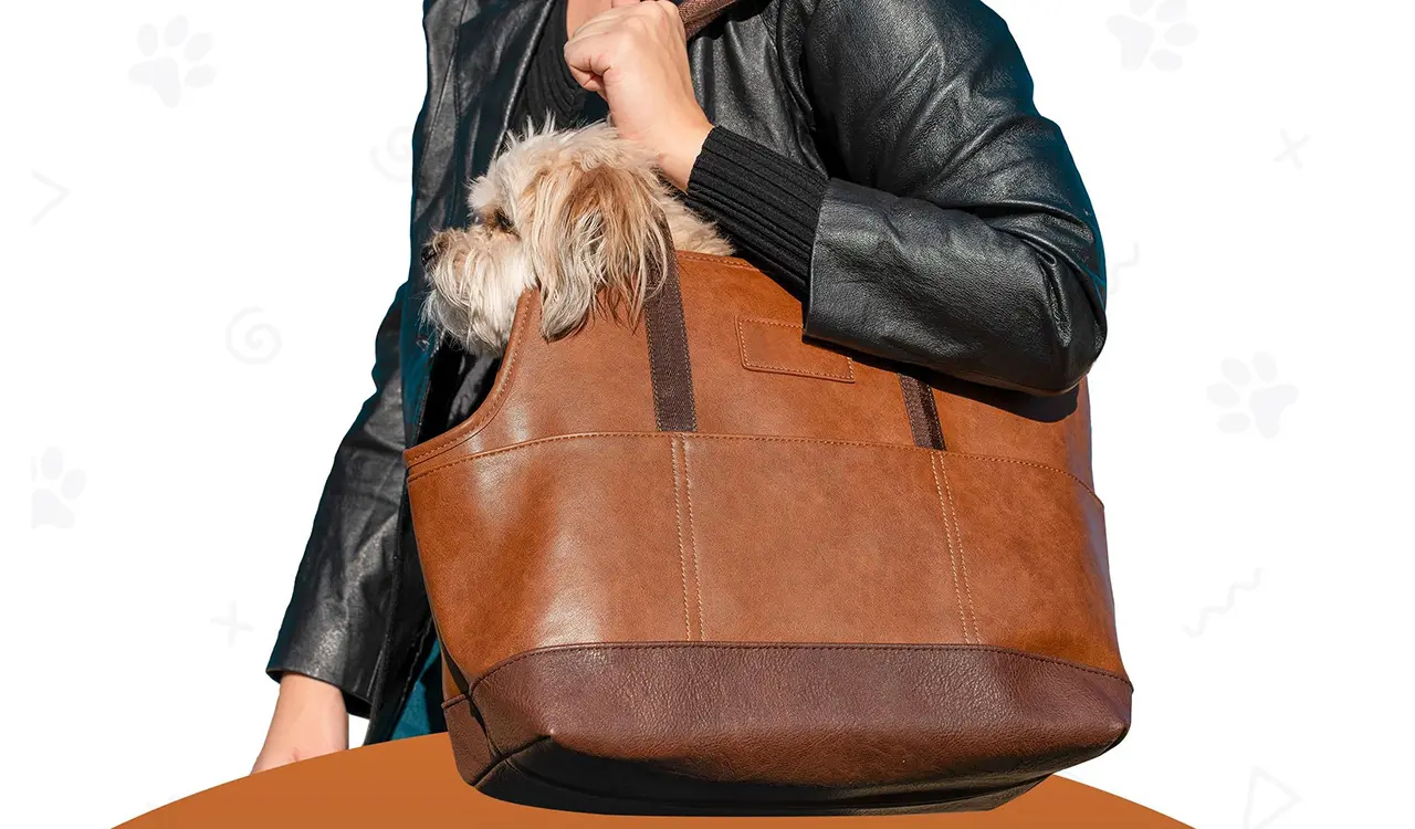 Faux leather dog carrier pocket details