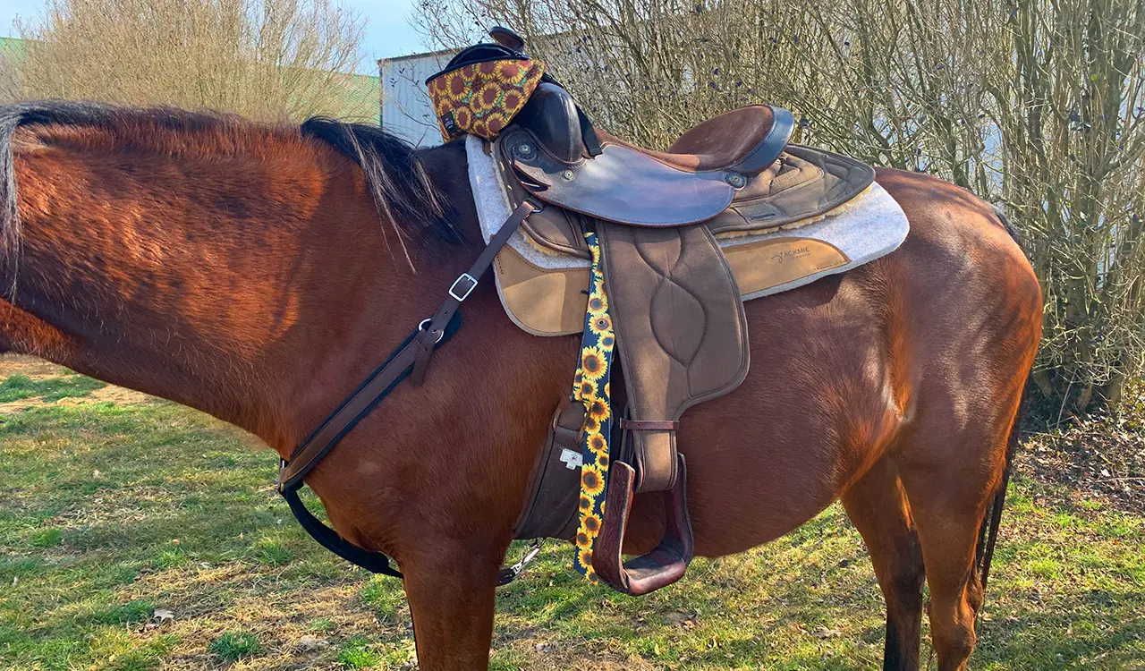 Saddle Pad Support