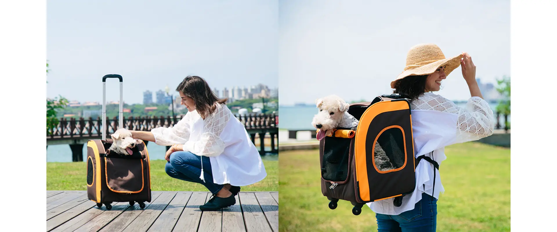 Parallel Back Pet Trolley Bag Complete Set
