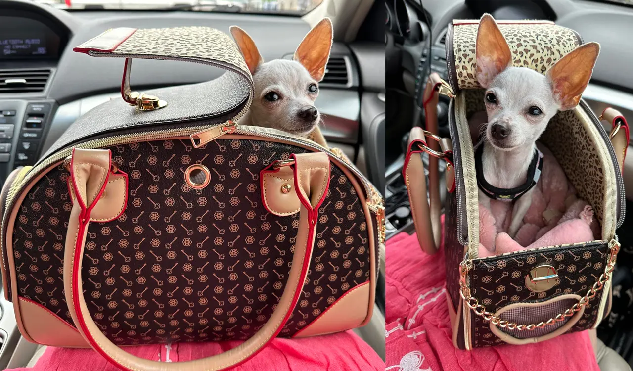 Stylish Wallet Design Pet Handbag
