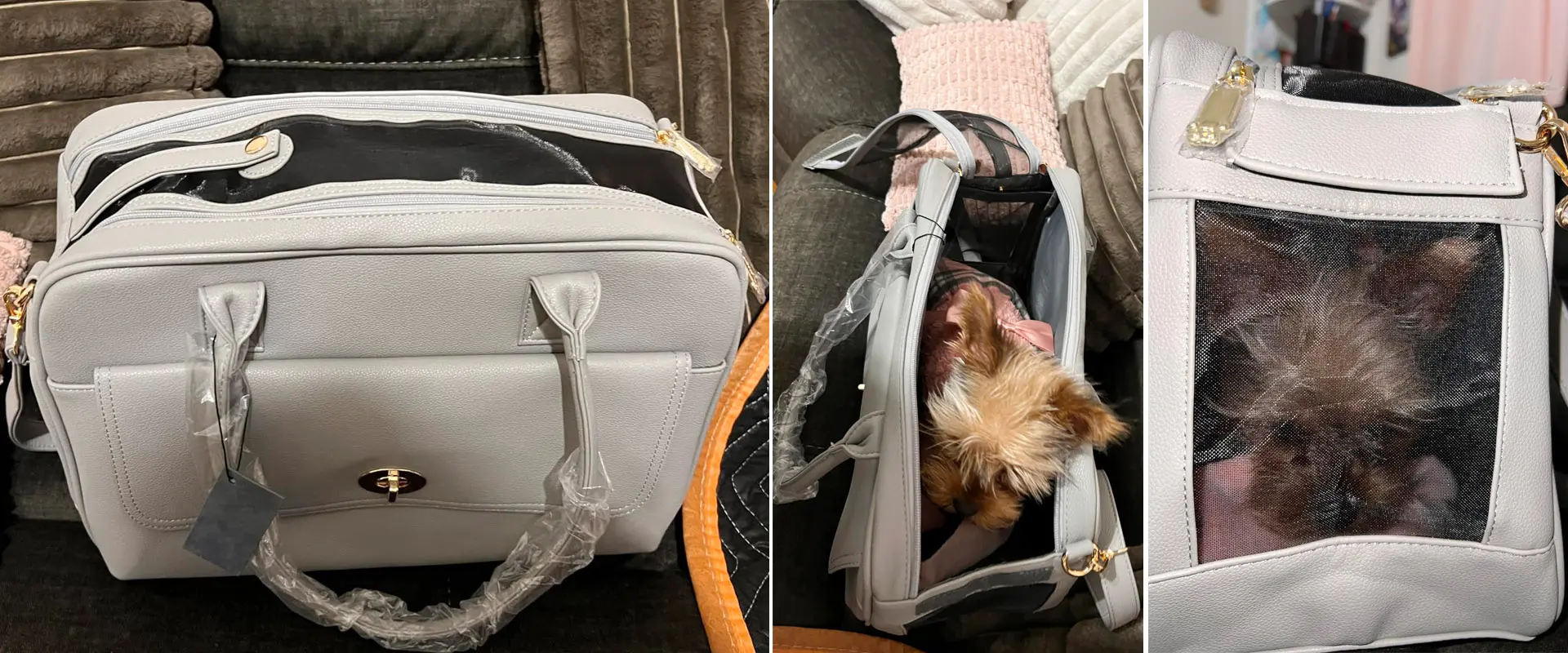 All-In-One Travel Pet Carrier