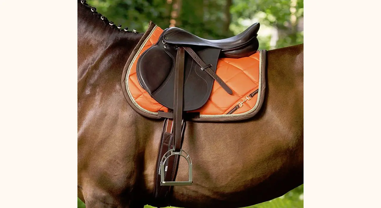 Saddle Measurements