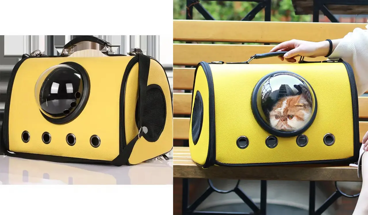 Pet carrier bag in outdoor hiking environment