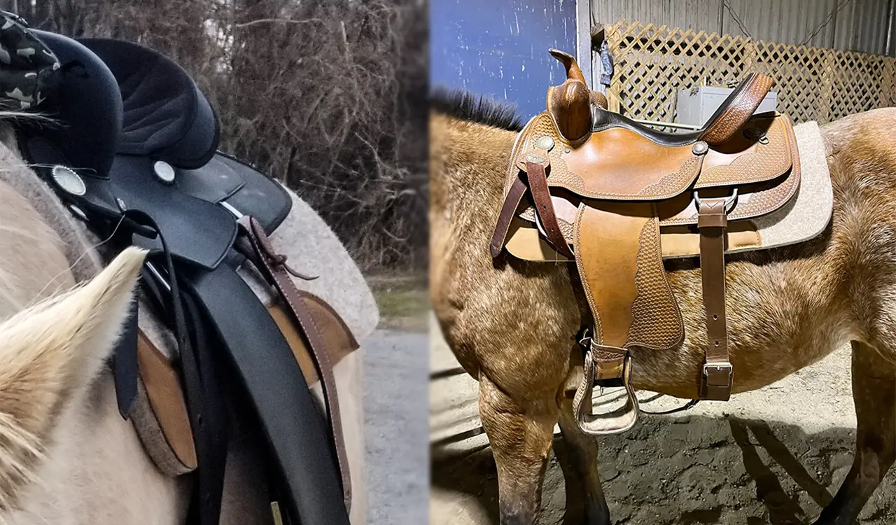 Contoured Saddle Pad Fit