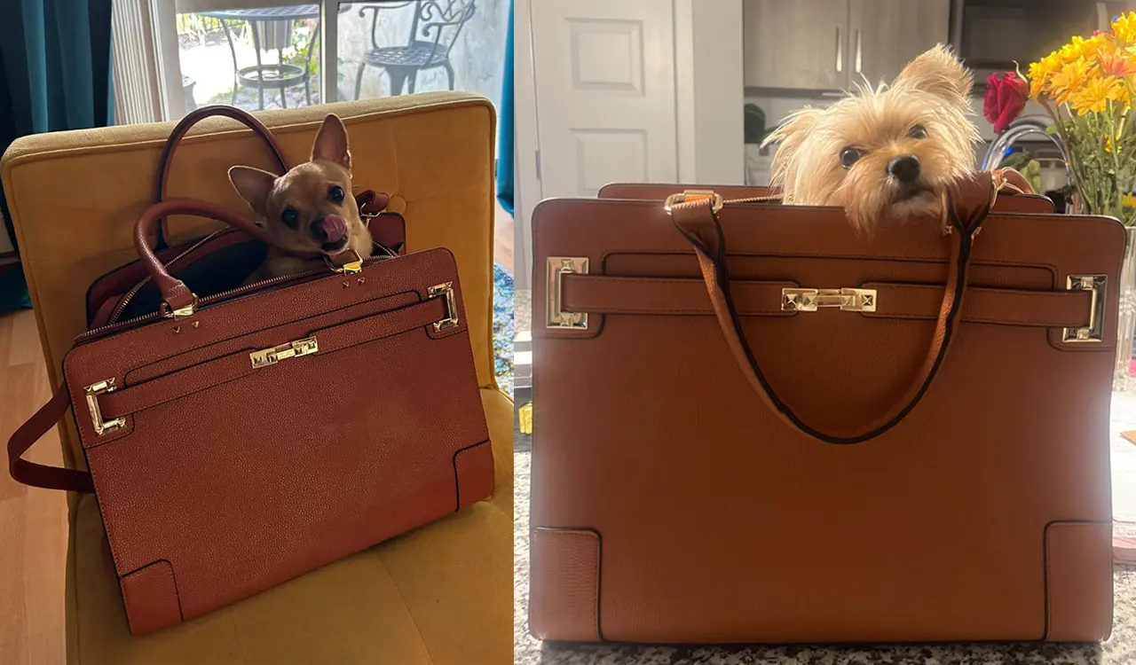 Pet Bag Display 1