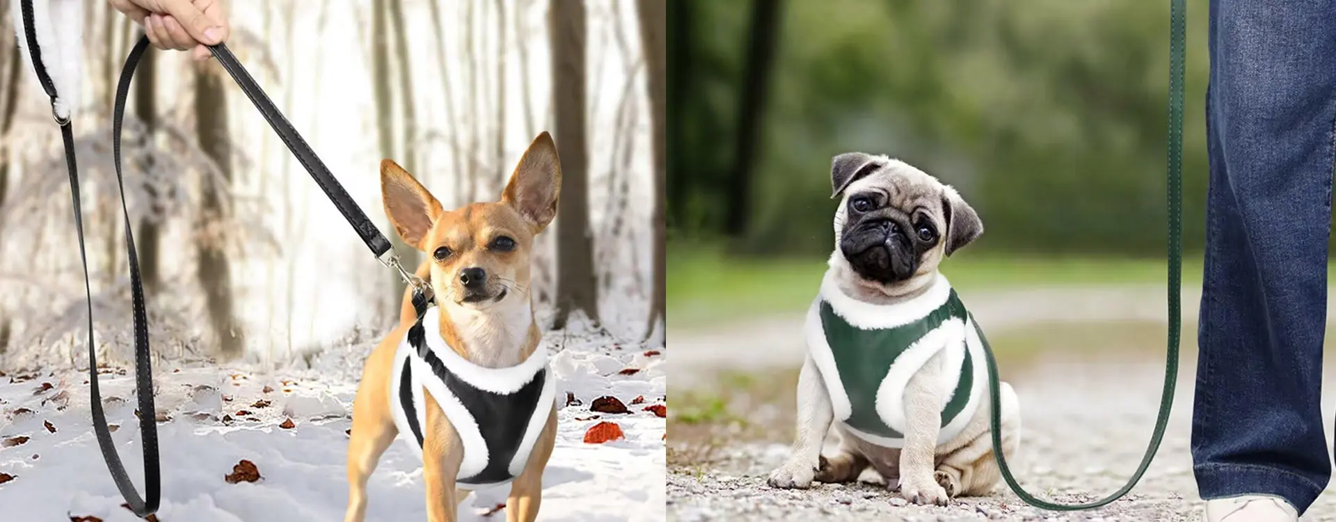 Durable leather dog harness set