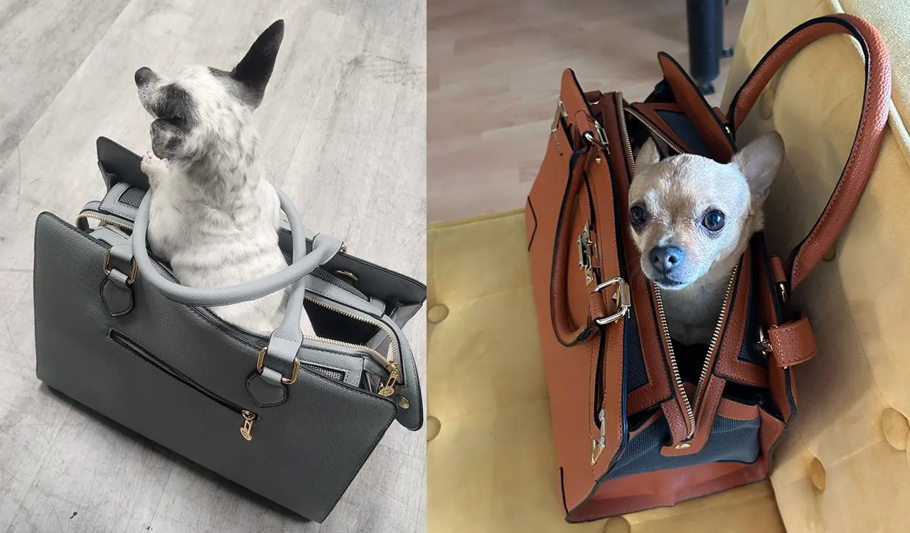 Pet Bag Display 3