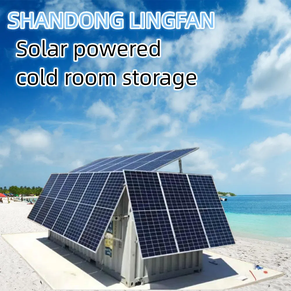 20 FT Commercial Solar Powered Container Cold Room Storage for Fresh Meat Freezer