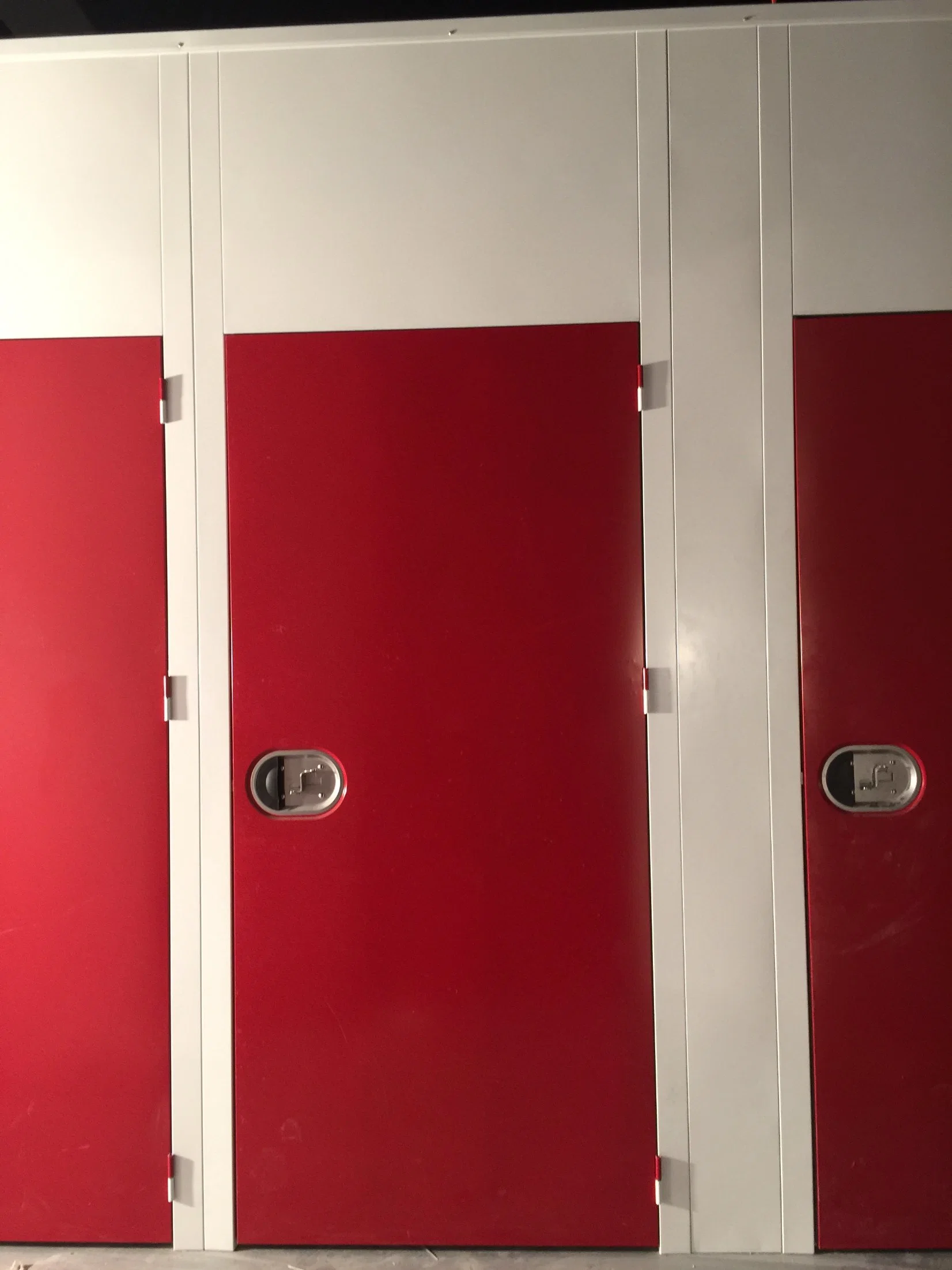 Hinged Door for Mini Storage &amp; Warehouse (CHAM-HD001)