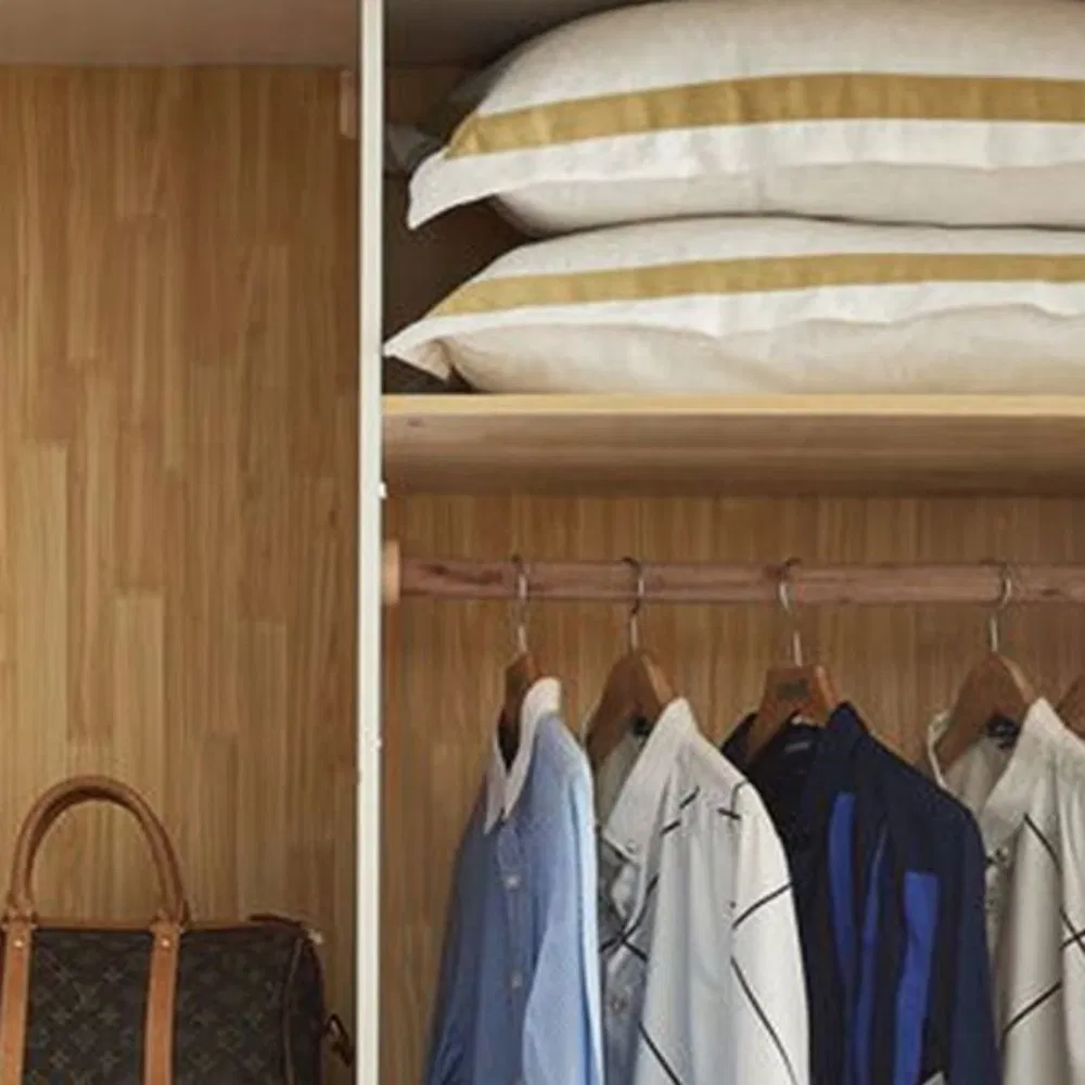 Modern Portable 2 Doors Wardrobe with Drawer Cloth Cabinet in Bedroom