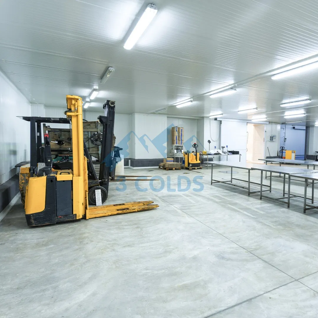 Meat Cold Room Storage in Negative Temperature for Restaurant