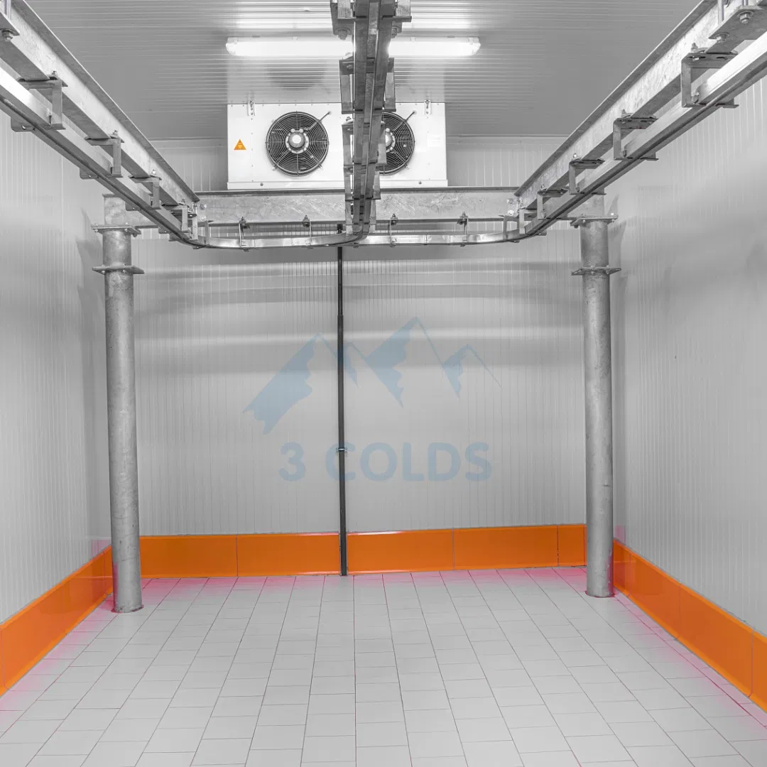Meat Cold Room Storage in Negative Temperature for Restaurant