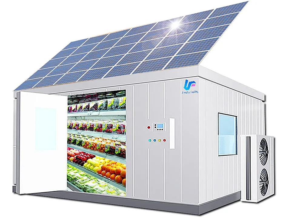 Solar Cold Room Detail 2