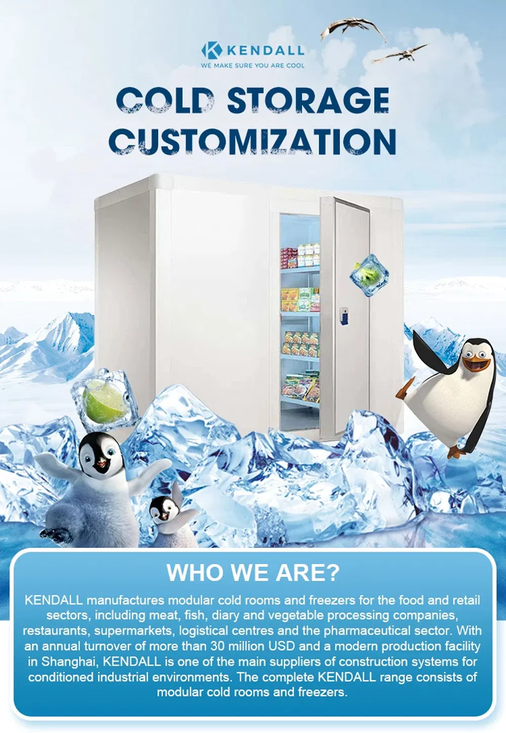 Cold Room Freezer Overview