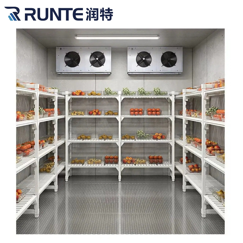 Runte Cold Room Walk in Cooler Cold Storage for Fruits, Vegetables
