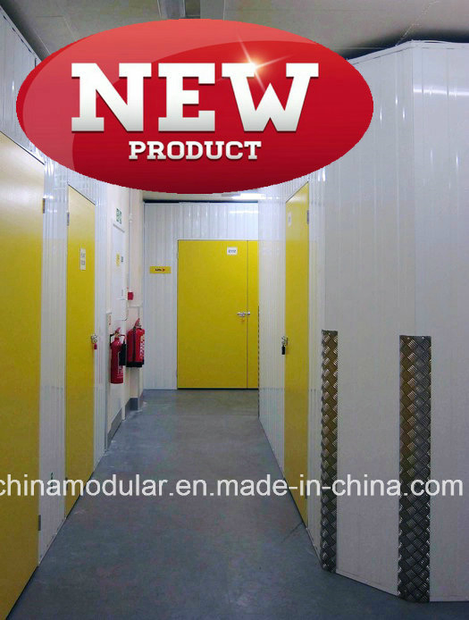 Hinged Door for Mini Storage &amp; Warehouse (CHAM-HD001)