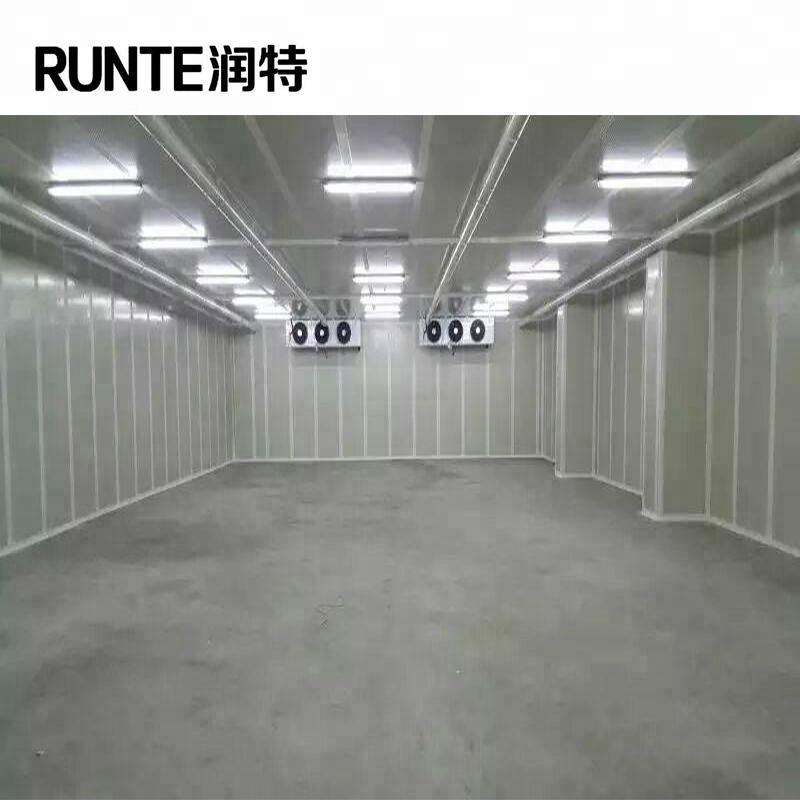 Runte Cold Room Walk in Cooler Cold Storage for Fruits, Vegetables
