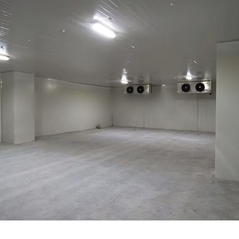 Meat/Vegetables/Fish/Fruit/Banana Walk in Cooler Cold Storage Room with Compressor Refrigeration Unit