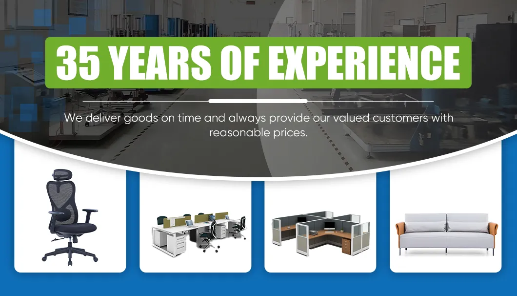 Modern Office Electric Standing Desk