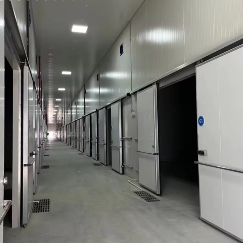 Meat/Vegetables/Fish/Fruit/Banana Walk in Cooler Cold Storage Room with Compressor Refrigeration Unit