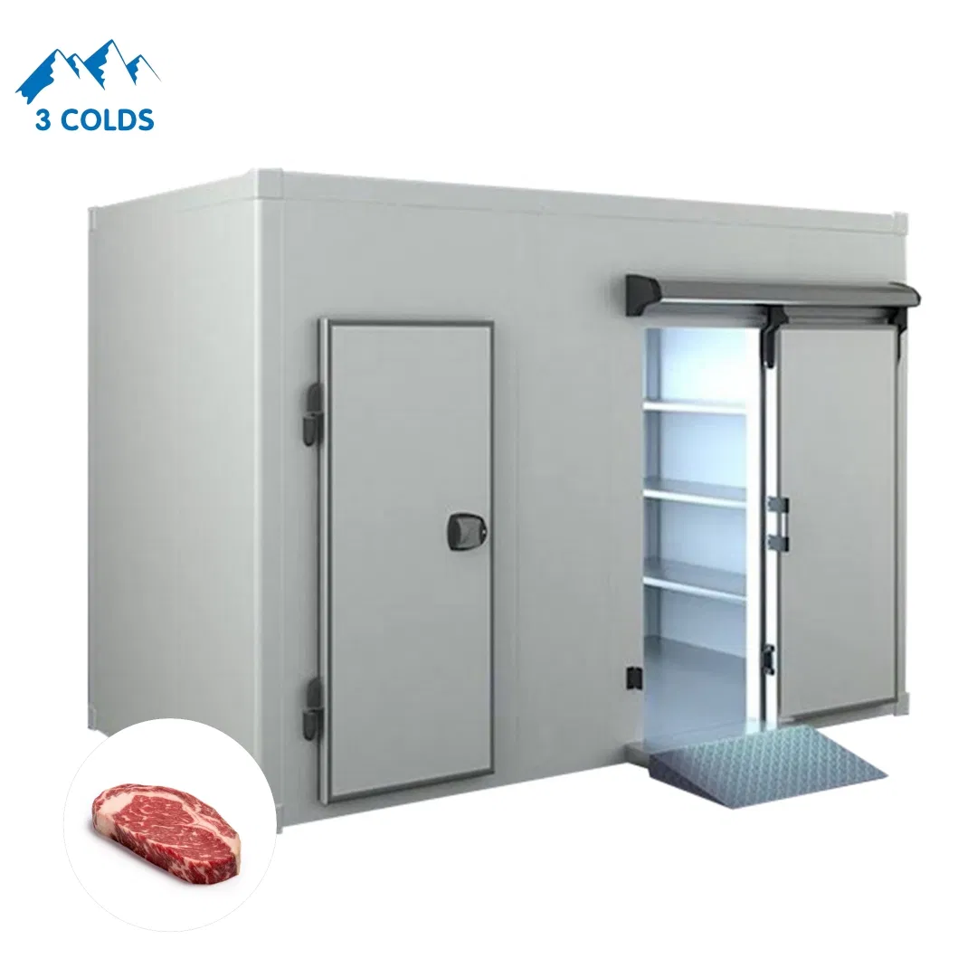 Meat Cold Room Storage in Negative Temperature for Restaurant