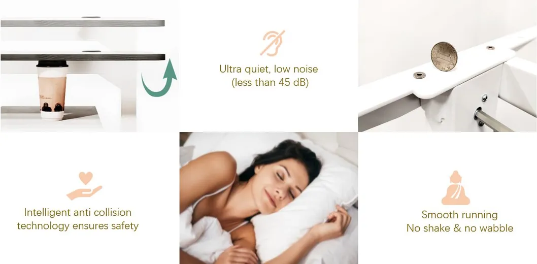 Function Introduction