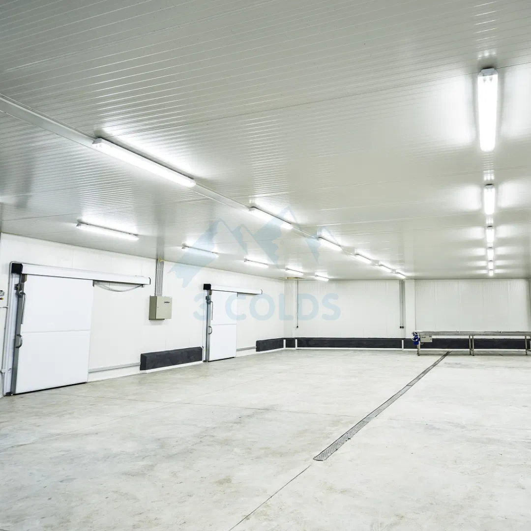 Meat Cold Room Storage in Negative Temperature for Restaurant