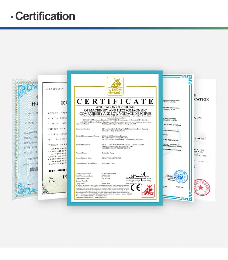 Zs100 مضخة حقن كهربائية